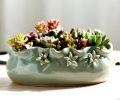 [19 * 7cm]Mini Ceramic Succulent Plant Pot Modern Cactus Plant Pot