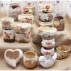 Outdoor Indoor Creative Mini Ceramic Flower Container Pots Planters-B04
