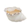 Outdoor Indoor Creative Mini Ceramic Flower Container Pots Planters-B05