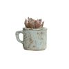 Made Of Cement Vintage Style Succulent Plant Pots Flowerpot