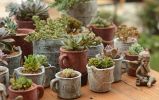 Made Of Cement Vintage Style Succulent Plant Pots Flowerpot