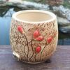 South Korea Painted Flowerpot Manual Fleshy Flower Pot--Round Basin