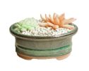 Mini Bathtub Shape Ceremic Plant Pot --4