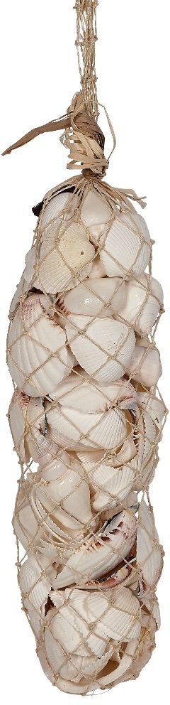 White Seashells in Abaca Sock 16"