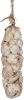 White Seashells in Abaca Sock 16"