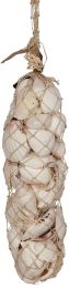 White Seashells in Abaca Sock 16"